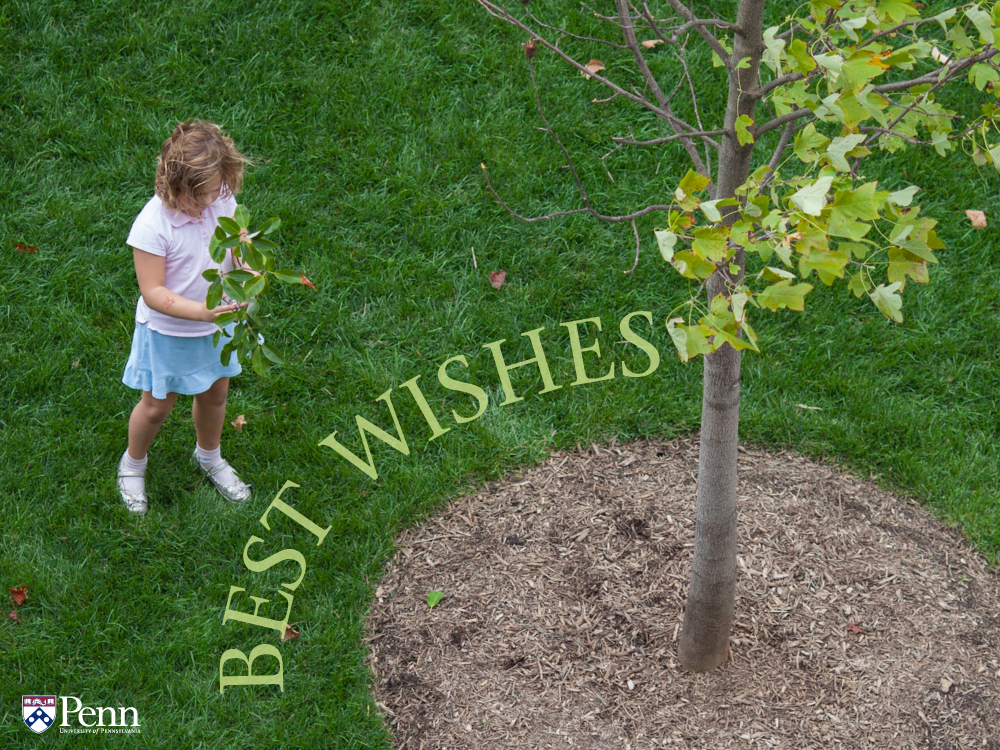 UPBS_BESTWISHES_GIRLTREE.jpg